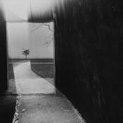 Beyond_the_wall