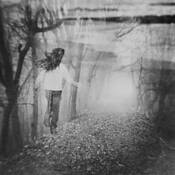 Natural_attraction_to_light