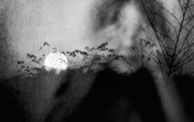 Hypothetical_dream__10
