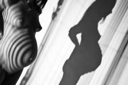 Shadows__1