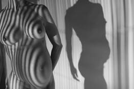 Shadows__17