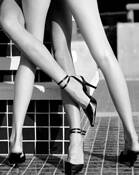 Legs_1