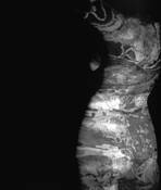 Projected_nude_8