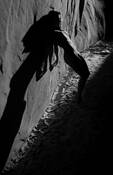 Untitled_12