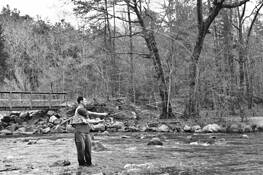 Fly_fishing
