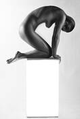 Statue