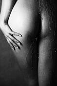 Wet_bottom