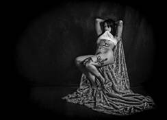 Untitled_4