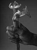 Bruce_s_hand_with_flower__1
