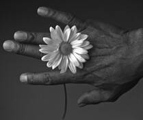 Bruce_s_hand_with_flower__2