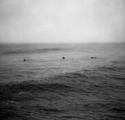 Untitled_1