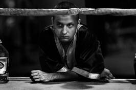 The_trainer