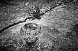 Forgotten