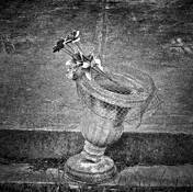 Grave_flowers_3