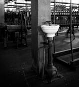 Untitled_10