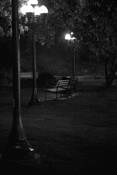 Park_at_dark