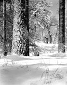 Outhouse_in_the_snow