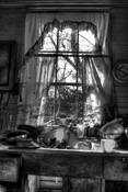 Scattered_lives_two