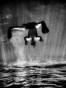 Euphotic_1