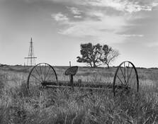 Making_hay