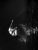 Euphotic_3