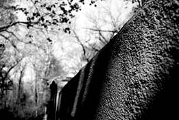 Untitled_7