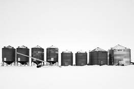 Grain_bins