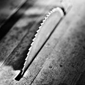 L_atelier_de_claude_-_table_saw