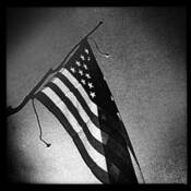 Untitled_7