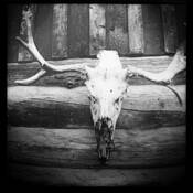 Untitled_8