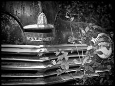 Bygones_-_plymouth
