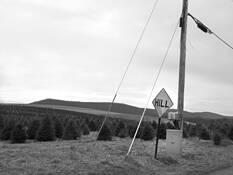 Untitled_10