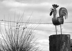 Untitled_6