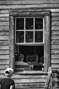 Outside_looking_in