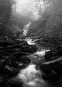 Grotto_falls_in_fog