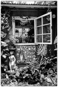 Shop_window