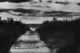 The_walk