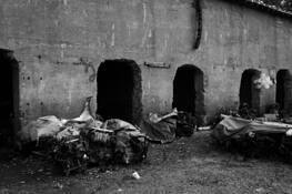 Untitled_11