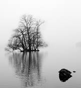 Island_in_the_mist_