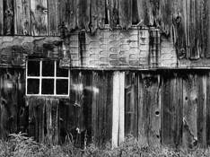 Olsen_barn
