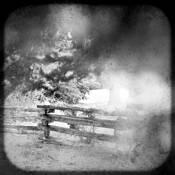 Chapter_02