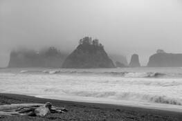 Pinnacles_in_the_mist