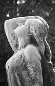 Untitled_11