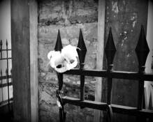 Mask_on_fence