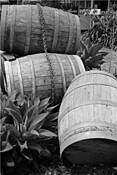 Barrels