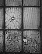 Window_study