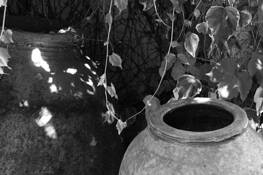 Shaded_jars