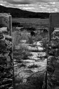Field_of_machines