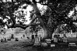 Loudon_park