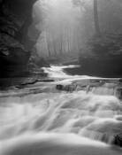 Foggy_day_at_old_man_s_cave